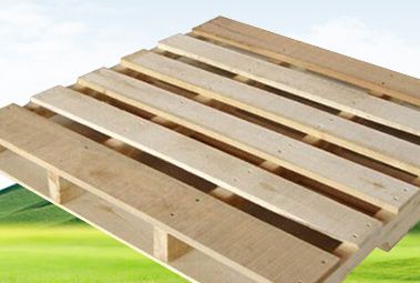 ��Ѭ���бP��Ѭ��ľ�бP��ʲô�^�e